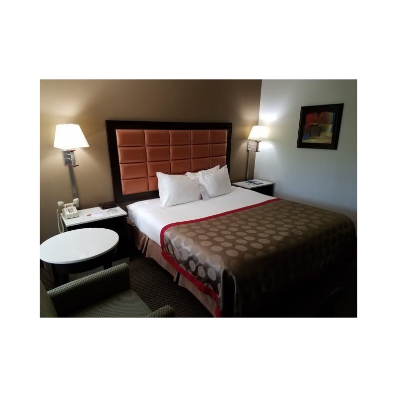 Hotel Ramada Inn Tampa FL
