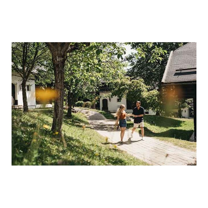 Naturel Hoteldorf Schönleitn