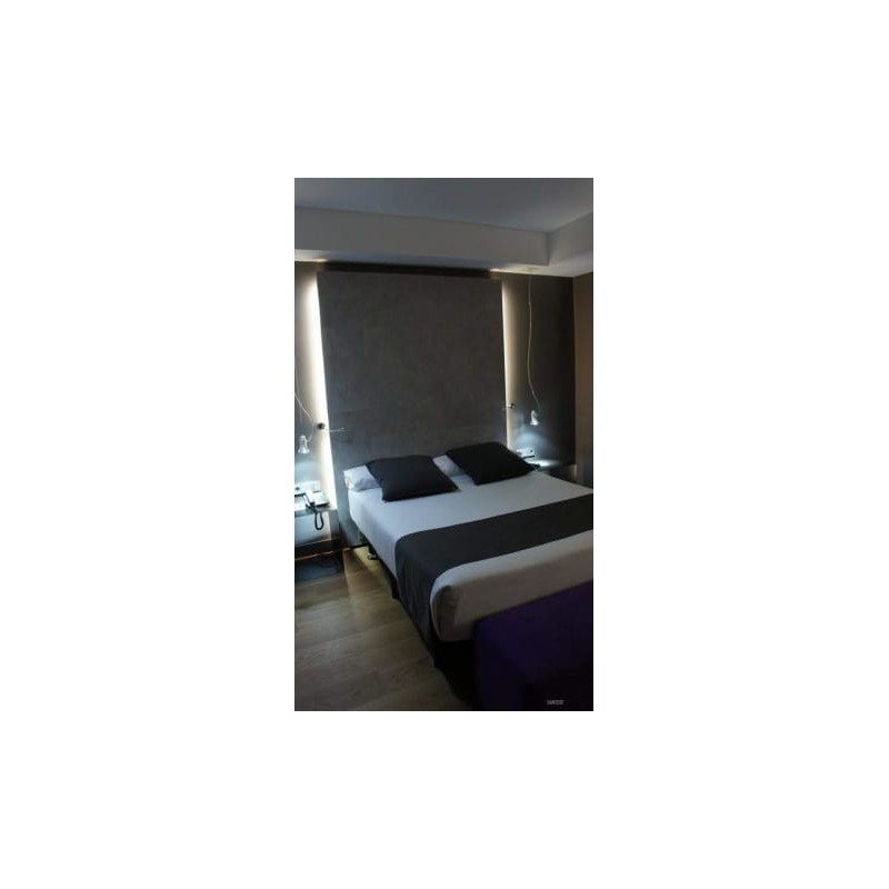 Hotel Zenit Conde de Orgaz