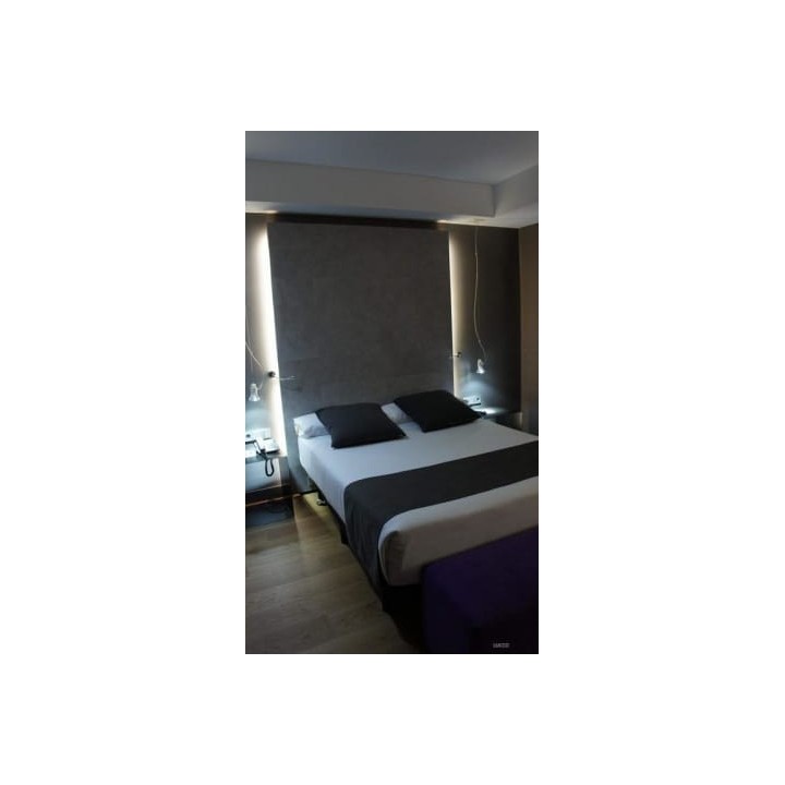 Hotel Zenit Conde de Orgaz