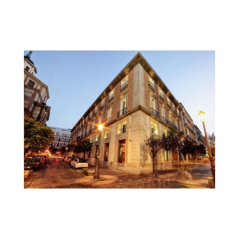 NH Collection Madrid Palacio de Tepa