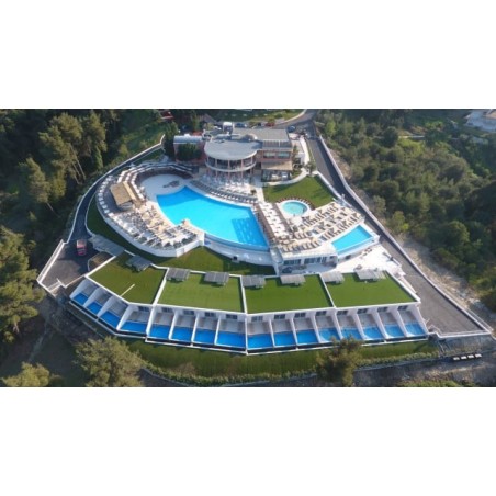 Alia Palace