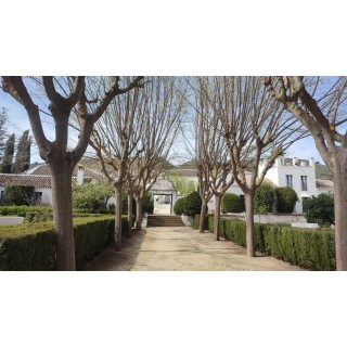 Hotel Molino del Arco