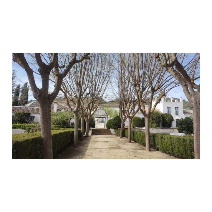 Hotel Molino del Arco