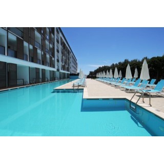 Gold Island Mondo Family