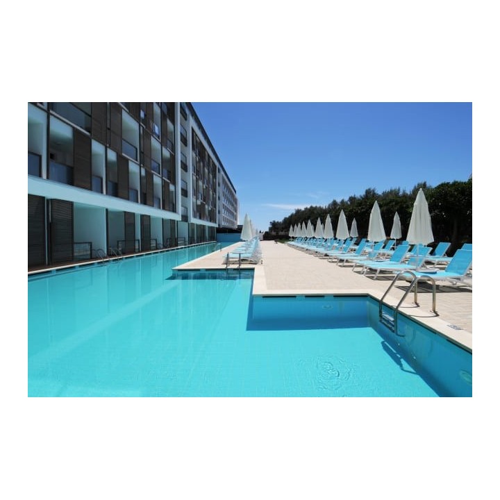 Gold Island Mondo Family