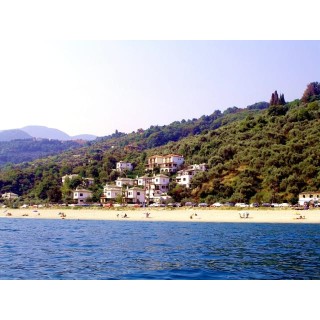 Flamingo Hotel Pilion