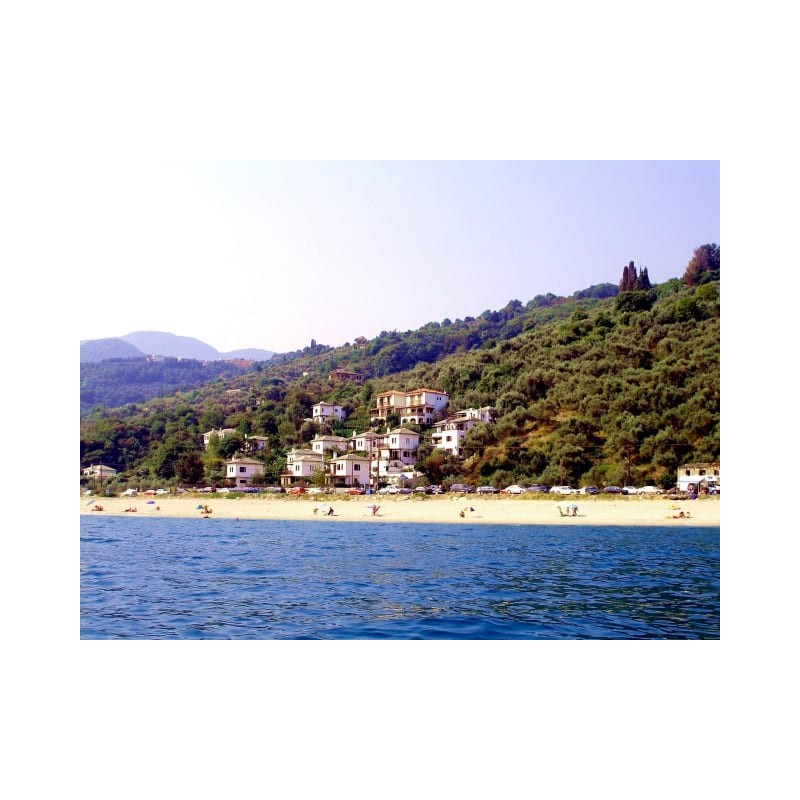 Flamingo Hotel Pilion