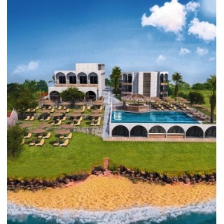 Cactus Mare - Adults only