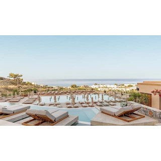 Kakkos Terra Blu-Adults only