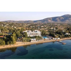 Brown Beach Eretria