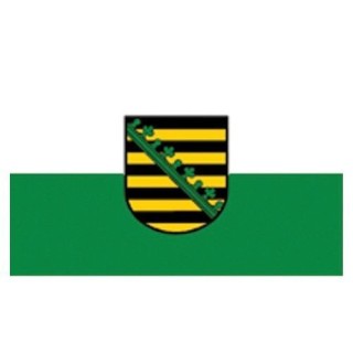 Flagge Sachsen 90 x 150 Restposten