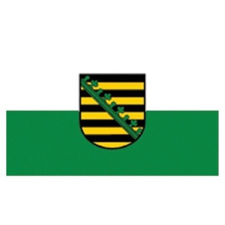 Flagge Sachsen 90 x 150 Restposten