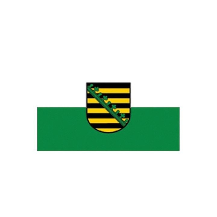 Flagge Sachsen 90 x 150 Restposten