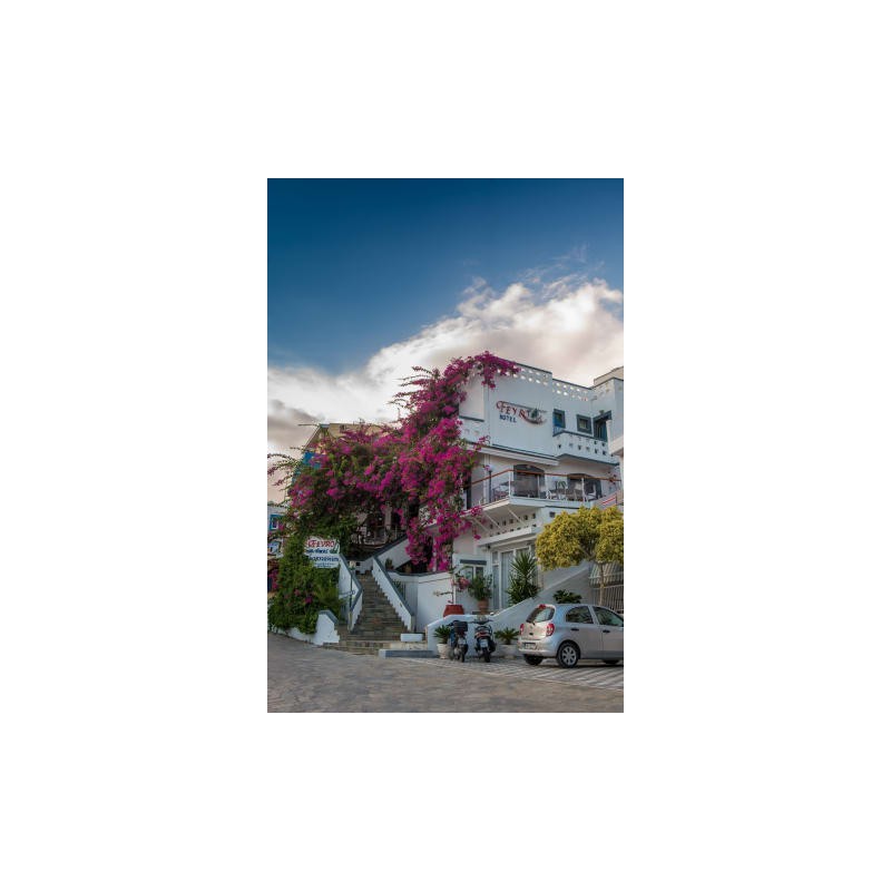 Hotel Fevro