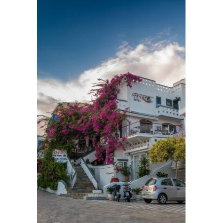 Hotel Fevro