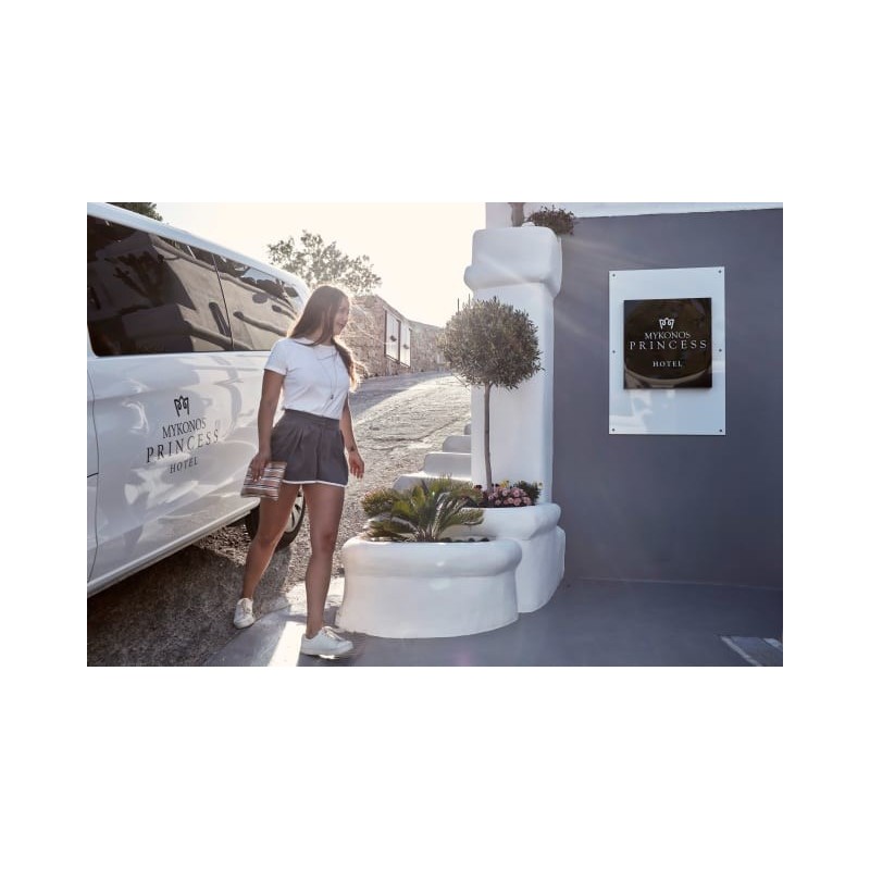 Princess Of Mykonos