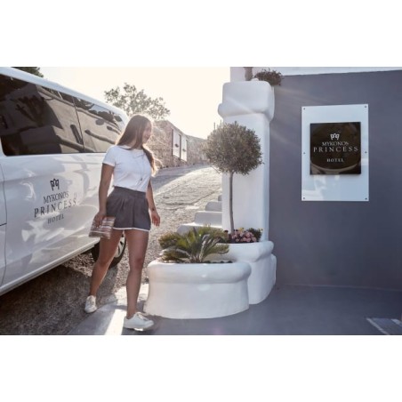 Princess Of Mykonos