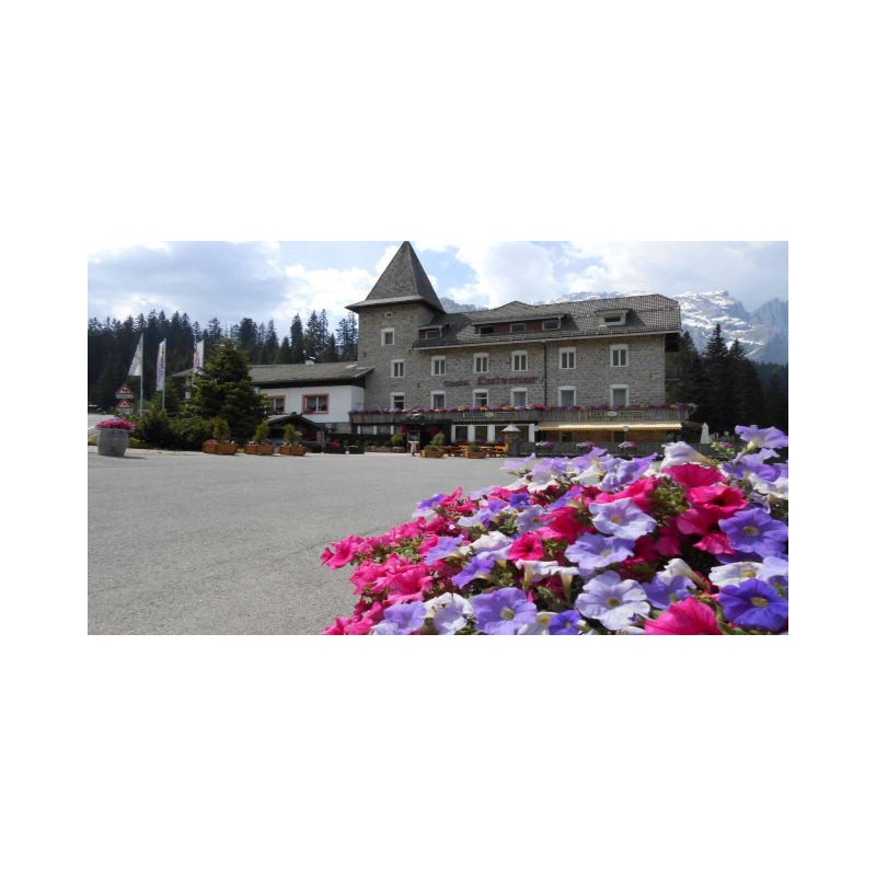 Hotel Castel Latemar