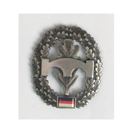 BW Barettabzeichen Metall Pioniertruppe