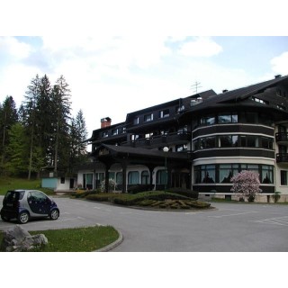 Hotel Ribno