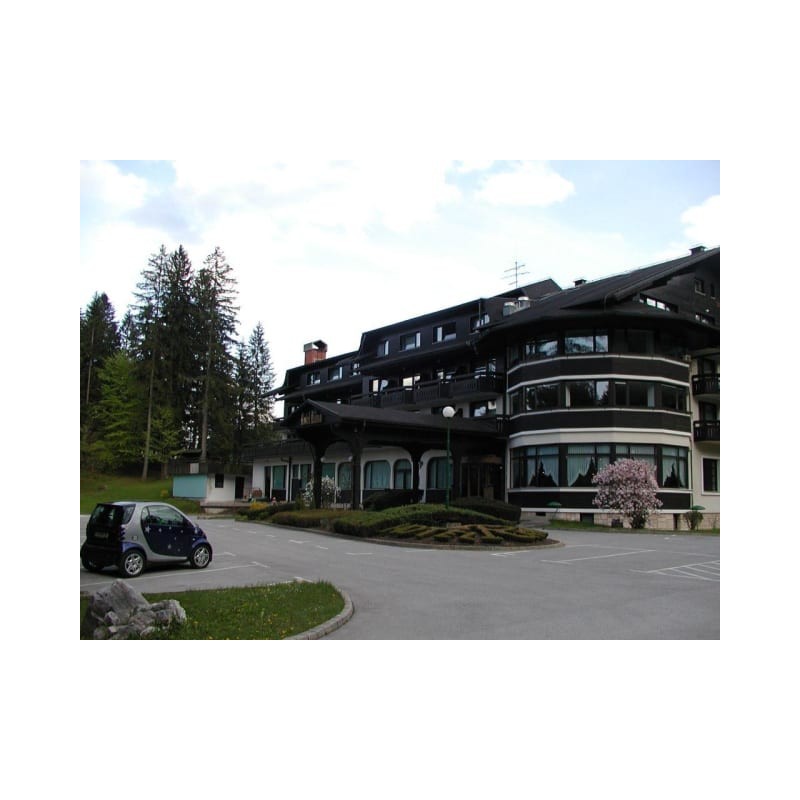 Hotel Ribno
