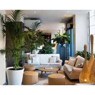 Starhotels Excelsior