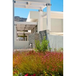 Lindos White Hotel & Suites