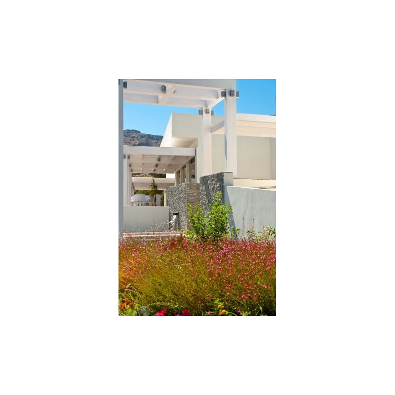 Lindos White Hotel & Suites