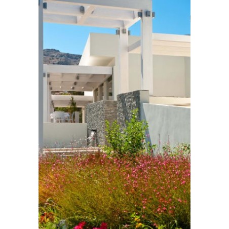 Lindos White Hotel & Suites