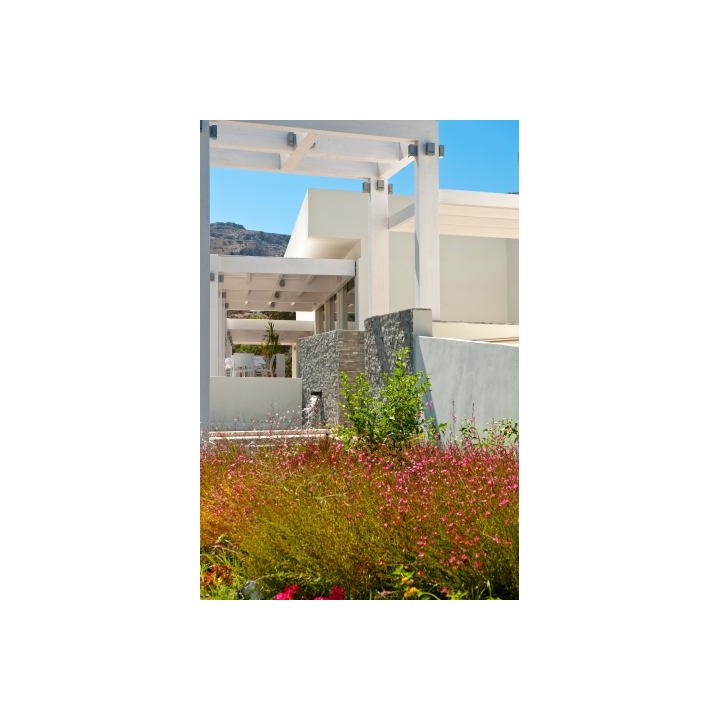 Lindos White Hotel & Suites