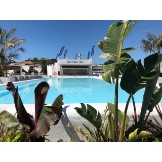 Hotel Delamar - Adults only