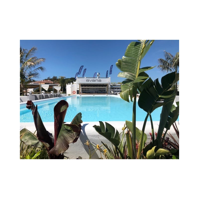 Hotel Delamar - Adults only