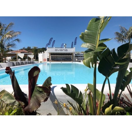 Hotel Delamar - Adults only