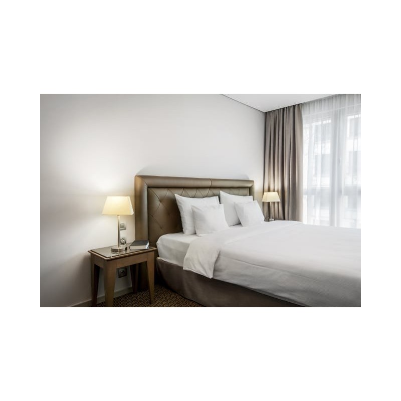 Hotel Royal Prague