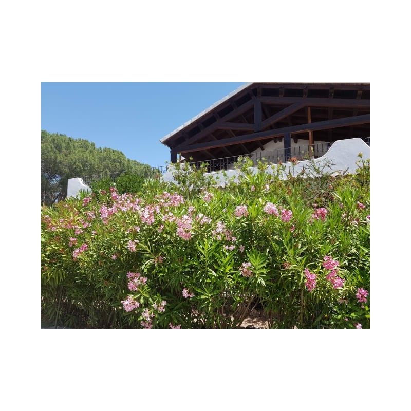 Hotel Club Ragno D'oro