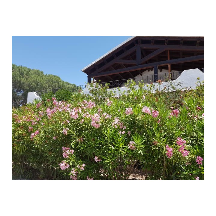 Hotel Club Ragno D'oro