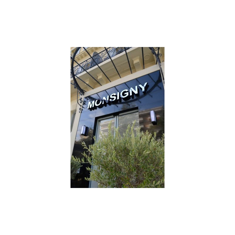 Hotel Monsigny