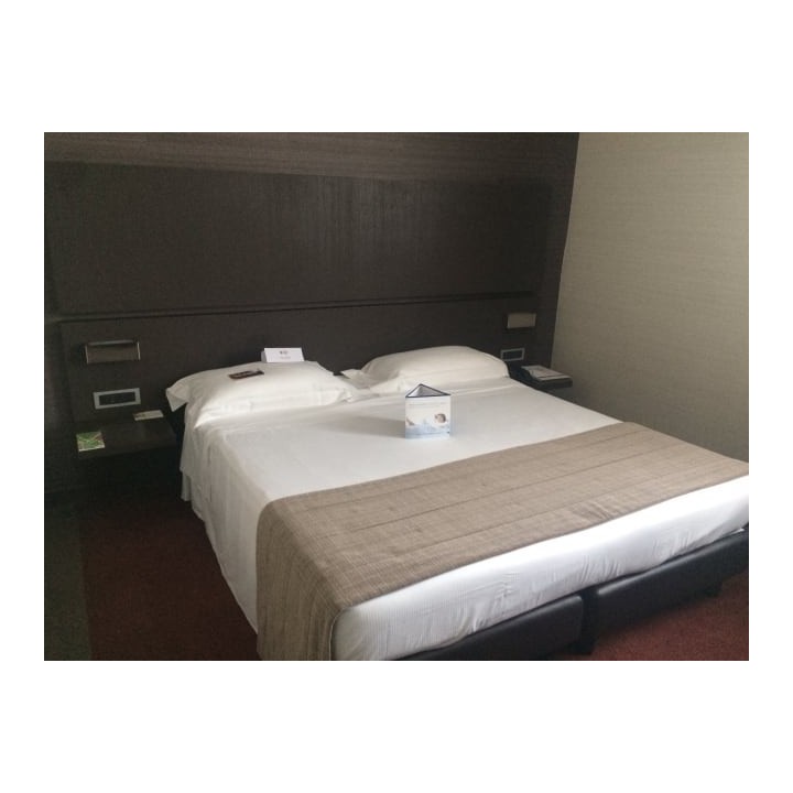 Best Western Premier Hotel Monza e Brianza Palace
