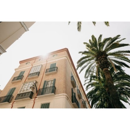 Soho Boutique Colón