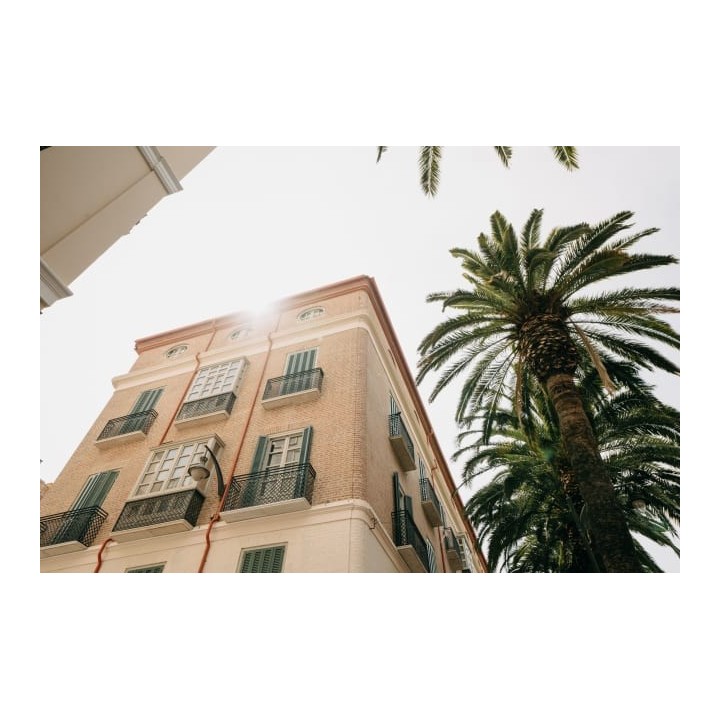 Soho Boutique Colón
