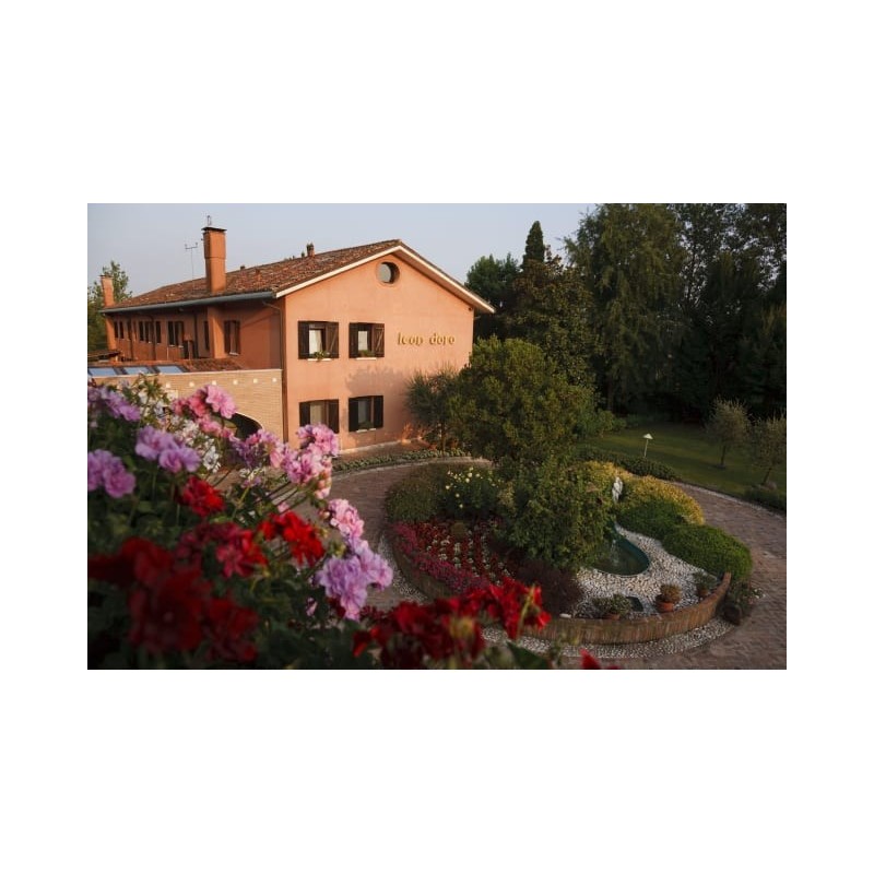Hotel Relais Leon d'Oro