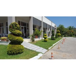 Hotel Aethria
