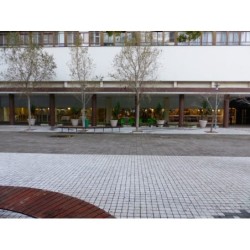 Capetonian Hotel