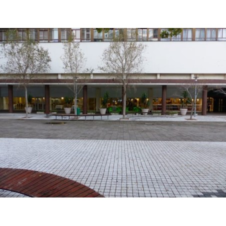Capetonian Hotel