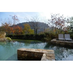 Hotel Eden Rock Resort