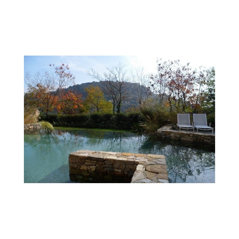 Hotel Eden Rock Resort