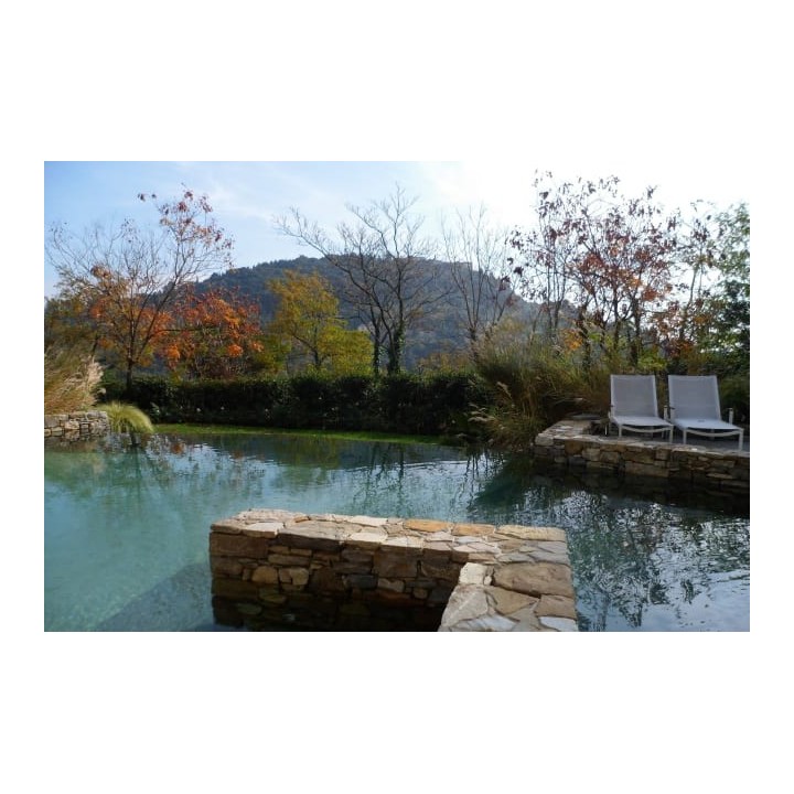 Hotel Eden Rock Resort