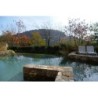 Hotel Eden Rock Resort