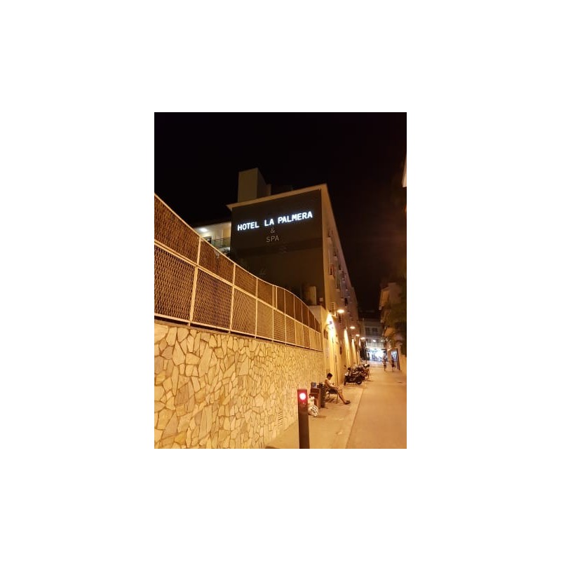 Hotel La Palmera